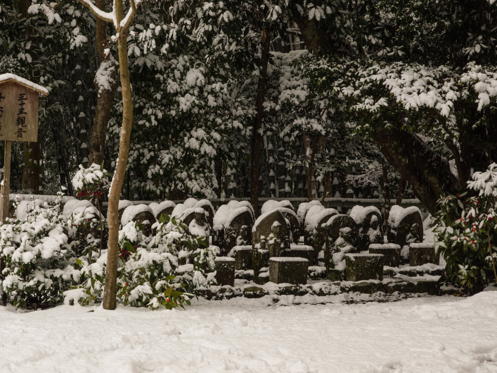 京都の雪景色を楽しみたい！！860309