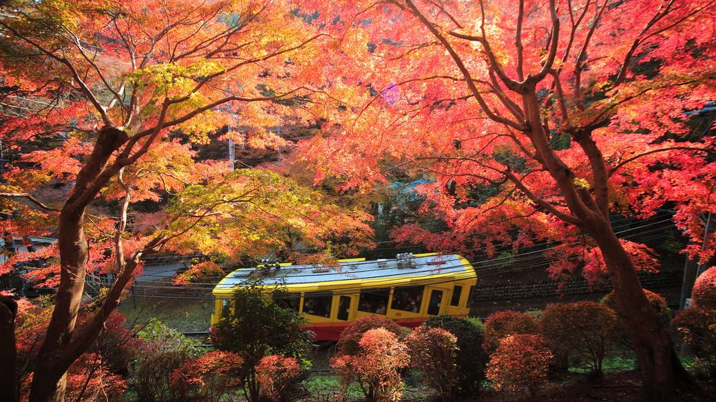 紅葉とケーブルカー / 2