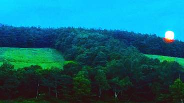 施設の敷地 / 36