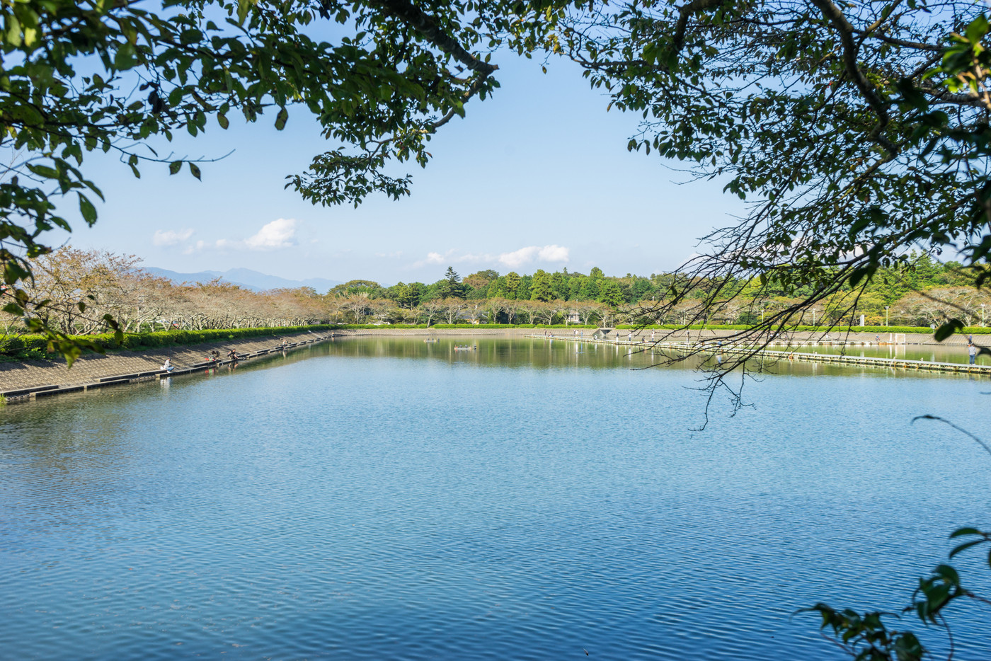 東山湖フィッシングエリア