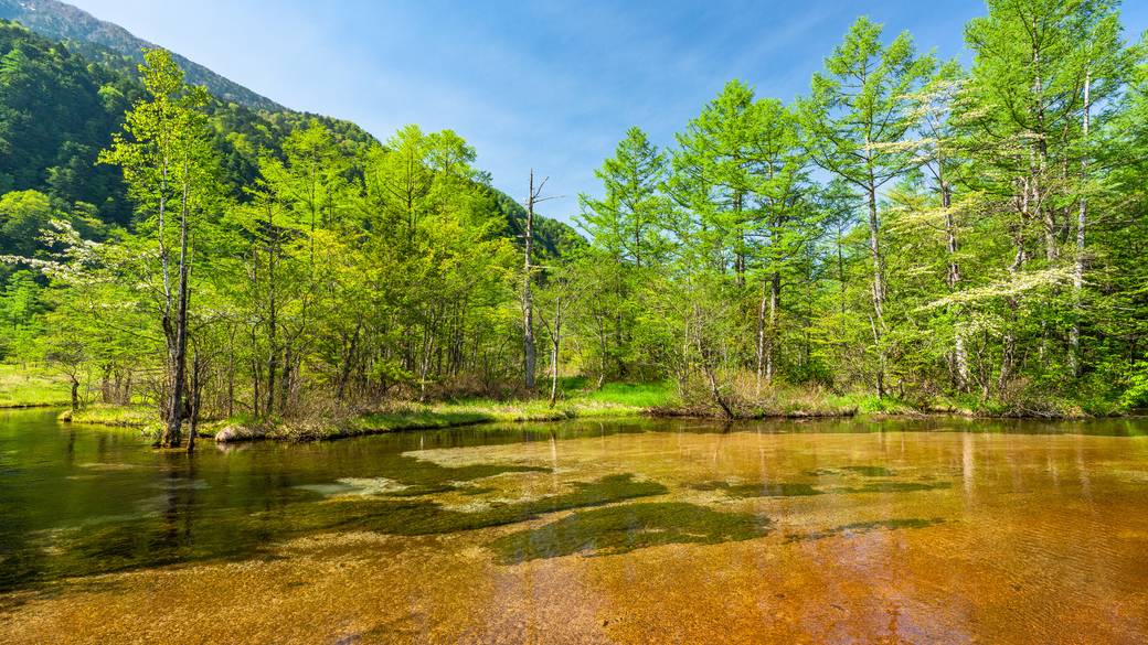 上高地の風景／田代池 / 3