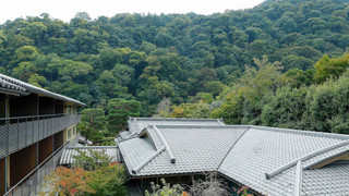 ルーム キングベッド 1 台 禁煙 バルコニー (View)
