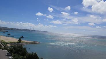 ビーチ / オーシャン ビュー / 37