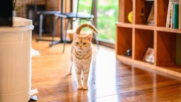 施設内の設備 / 16