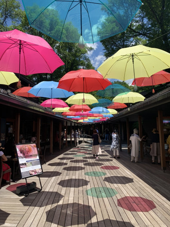 プライベート感のあるコテージで自然を満喫3447460