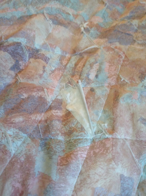 中綿とびだしてました。。。