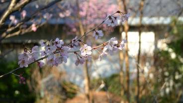 施設の敷地 / 22