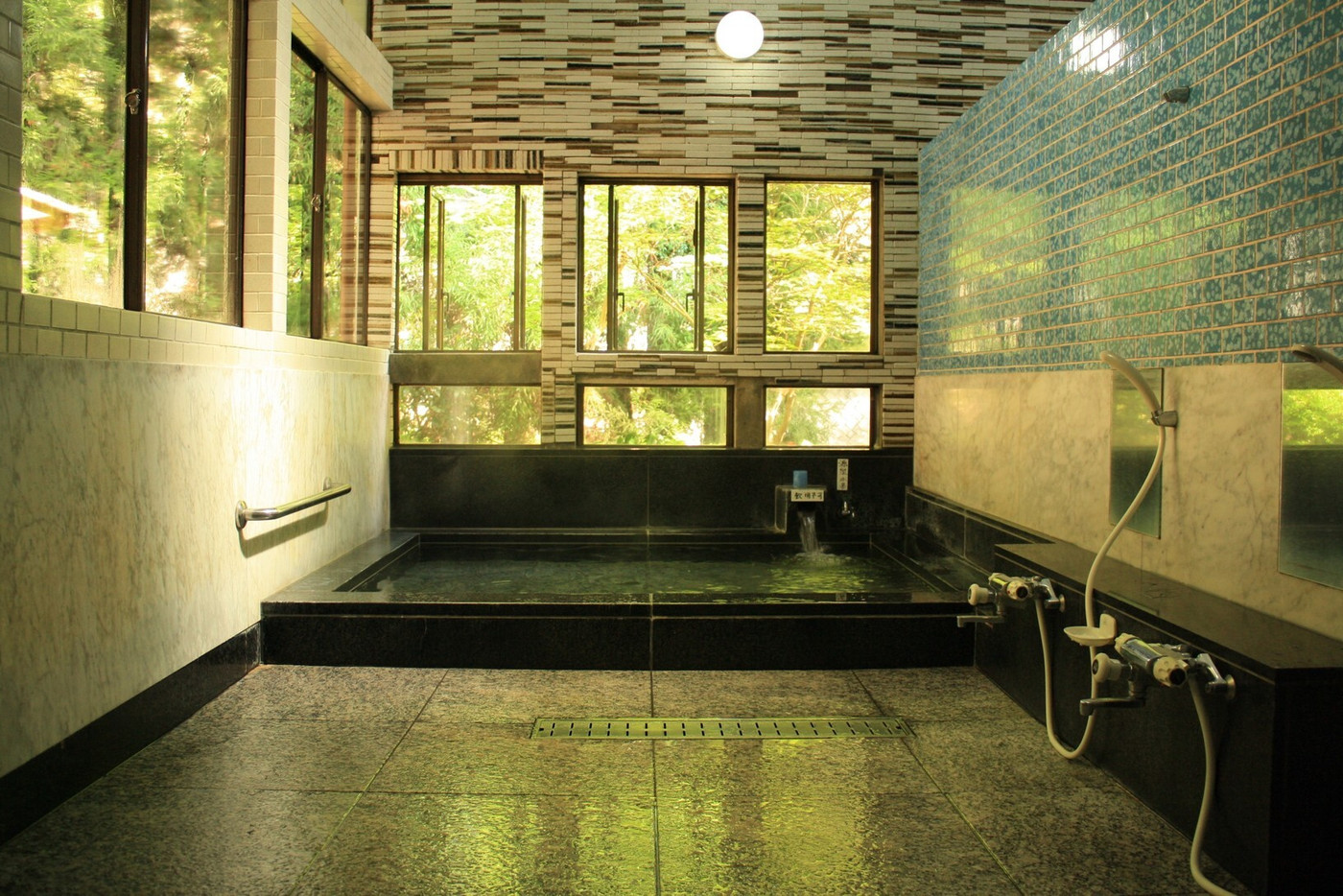 「元湯　山田屋旅館」 内観 6436319 県内トップクラスのアルカリ度PH10.1を誇る名湯『美人の湯』