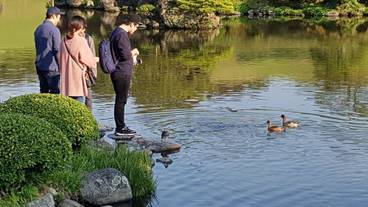 観光スポット / 5