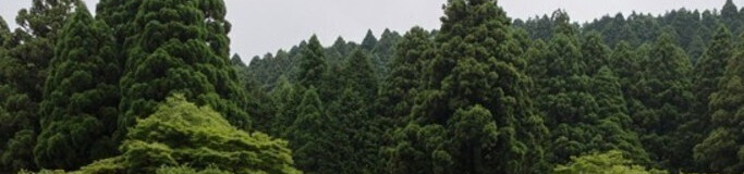 バラに囲まれ優雅な癒し旅＊「ローズガーデン」があるホテル5選/東日本