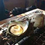 浜茶屋網元（ハマジャヤアミモト）