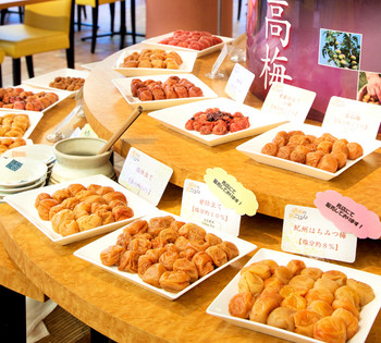 プールからテーマパークの観覧車が！異国情緒あふれる客室にうっとり4056193