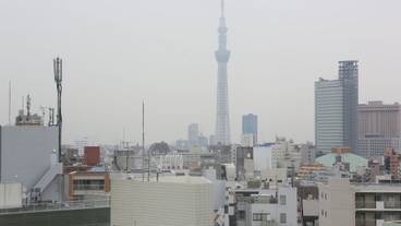 観光スポット / 8