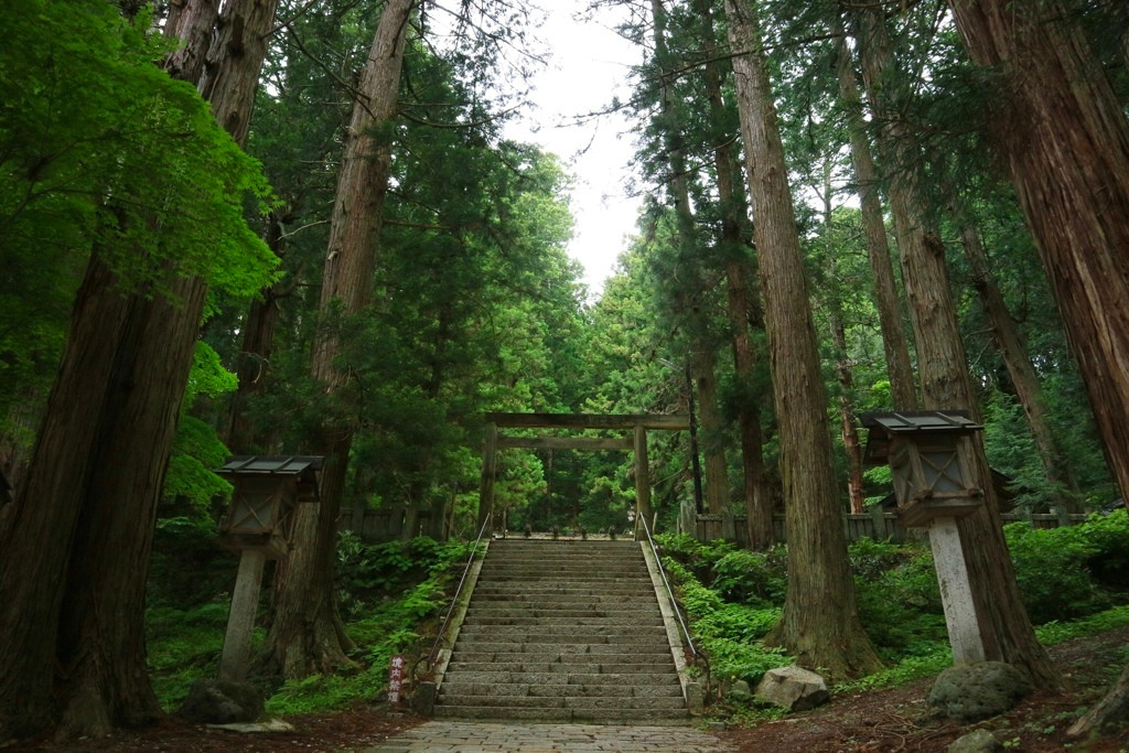 森の中にたたずみ、力あふれる荘厳な神社2101541