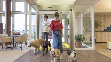 内部エントランス / 3