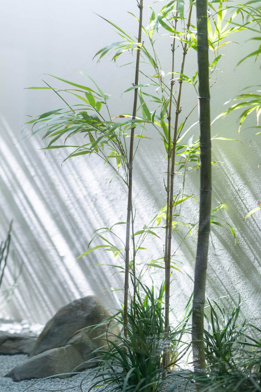 バンブースウィートルーム　中庭