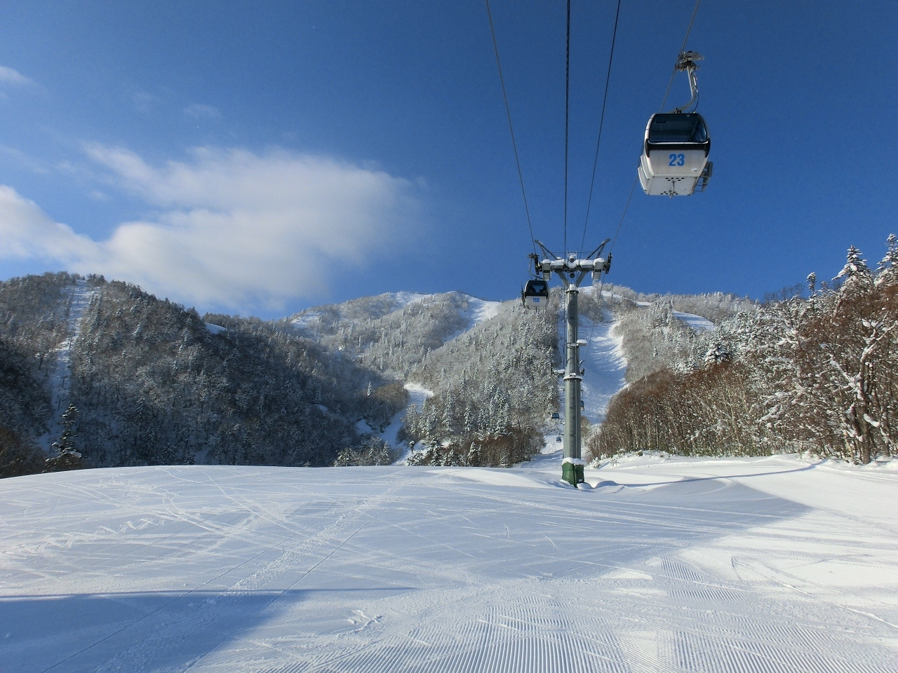 5. 富良野スキー場3426491