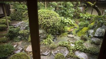 日本庭園 / 11