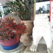 サンライズホテル沖縄（沖縄県 ビジネスホテル） / 5