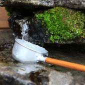 志賀高原 白い温泉 渓谷の湯（長野県 旅館） / 3