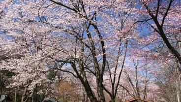 観光スポット / 8