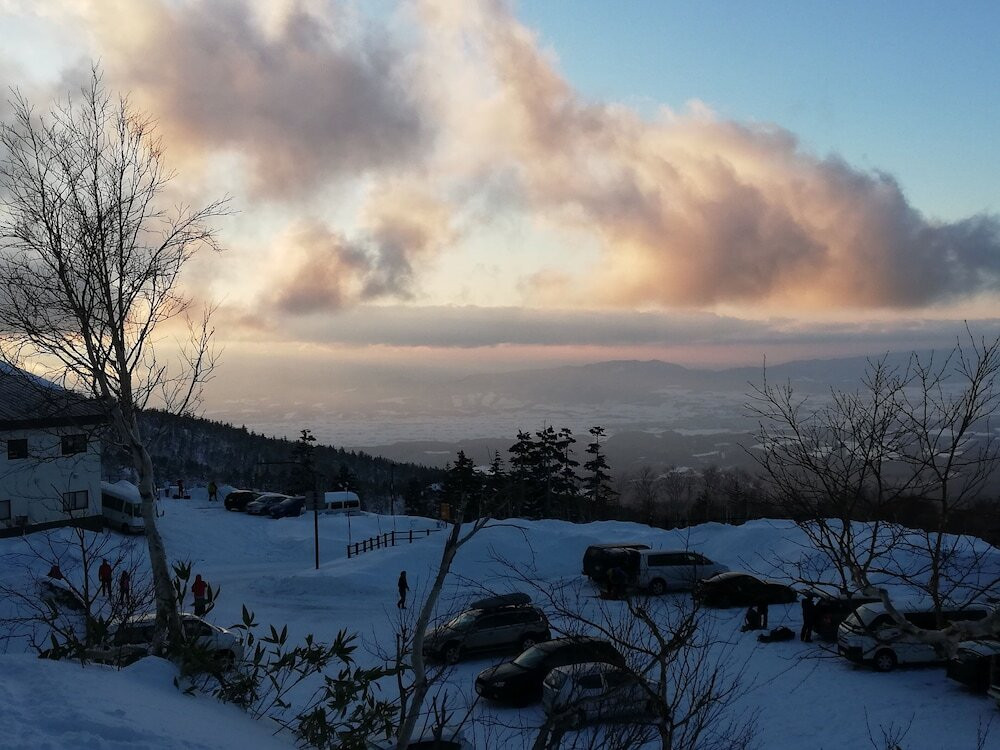 バーベキュー / ピクニック エリア