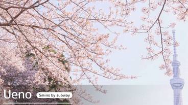 観光スポット / 4