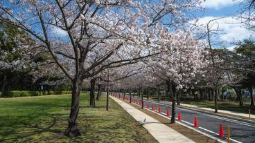 施設からの眺望 / 15