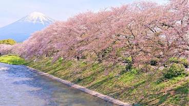 ランド ビュー / 35