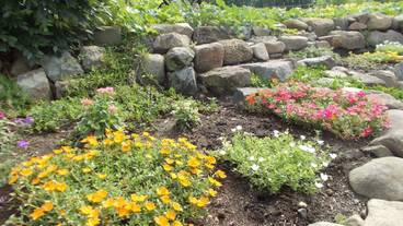 ガーデン ビュー / 39