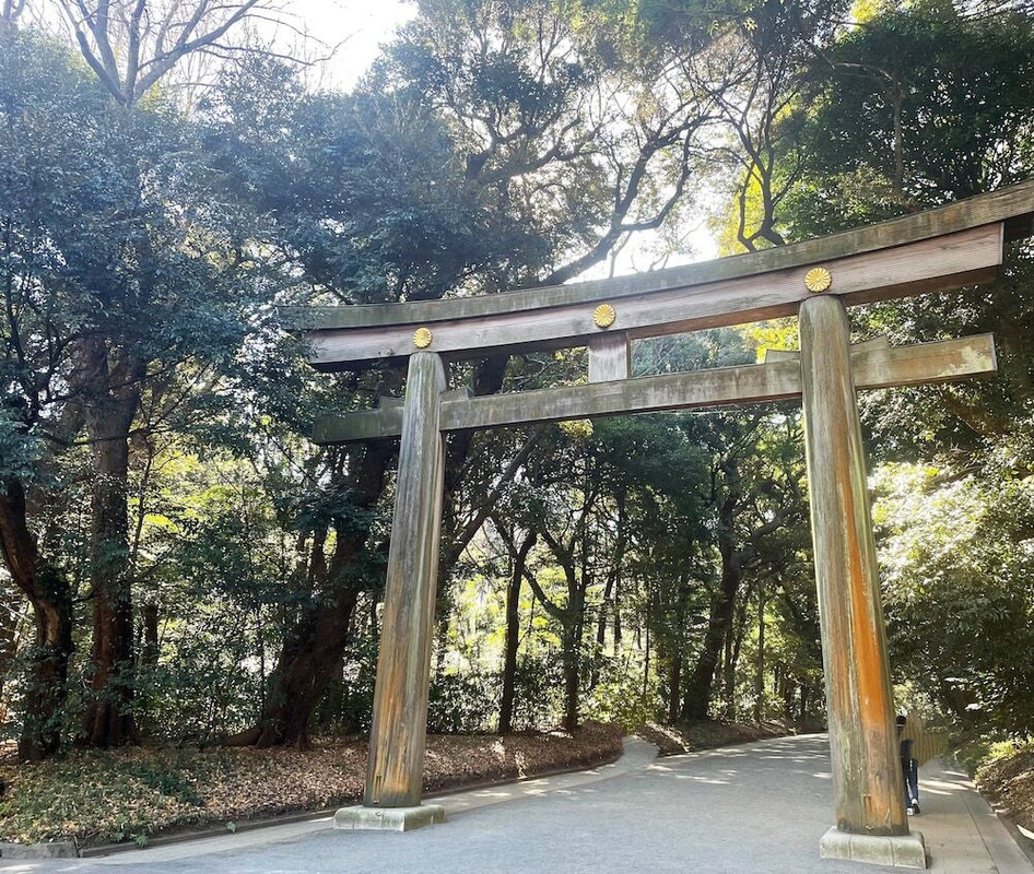 シティ ビュー