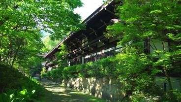 駐車場から玄関までの小路 / 2