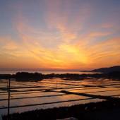 椎崎温泉 夕日と湖の宿 あおきや（佐渡島）（新潟県 旅館） / 5