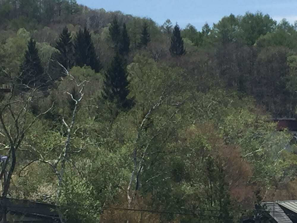 マウンテン ビュー