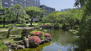 日本庭園③ / 14