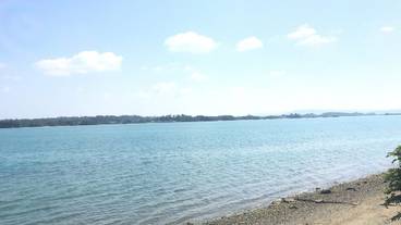 ビーチ / オーシャン ビュー / 5