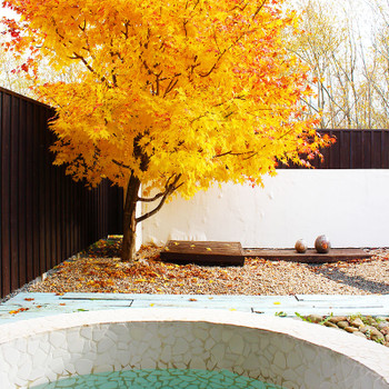 広大な田園風景にポツリと佇む「和」を基調とした小さな宿 4287637