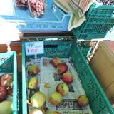 だむみえーる（ダムミエール）