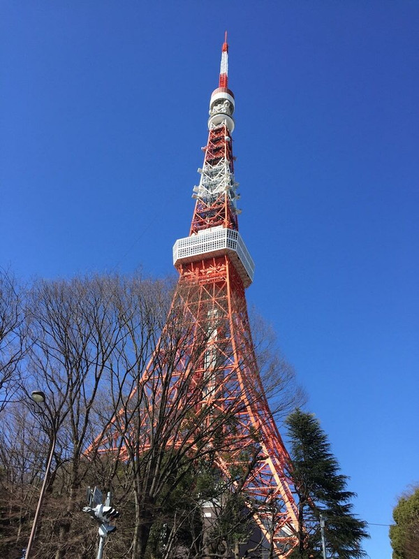 観光スポット