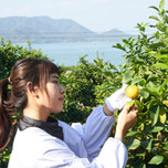 広島といえばレモン♡レモンを味わえるおすすめご当地グルメ8選
