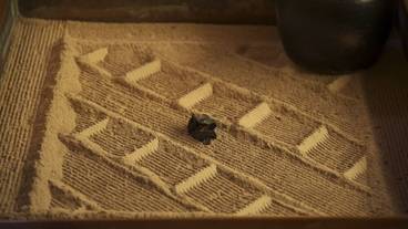 客室の設備とサービス / 7