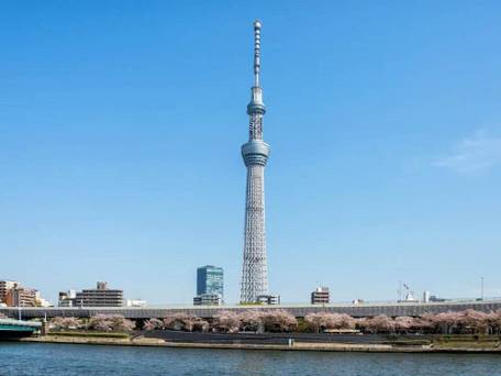 安心お宿 秋葉原電気街店 / 5