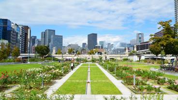 中之島公園内の中之島バラ園 / 3