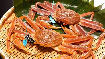 食事・飲み物 / 12