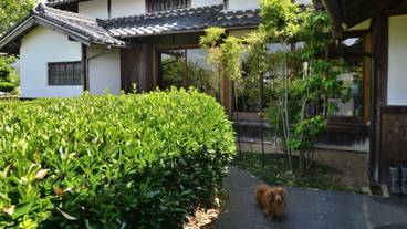 メイン イメージ / 1