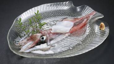 レストラン / 31