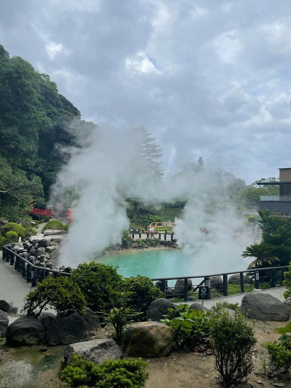 yseat_さんの写真 / 1