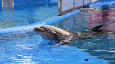 観光スポット / 4