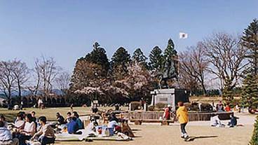 観光スポット / 7