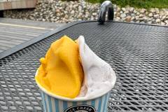 ICE CREAM UNITED
